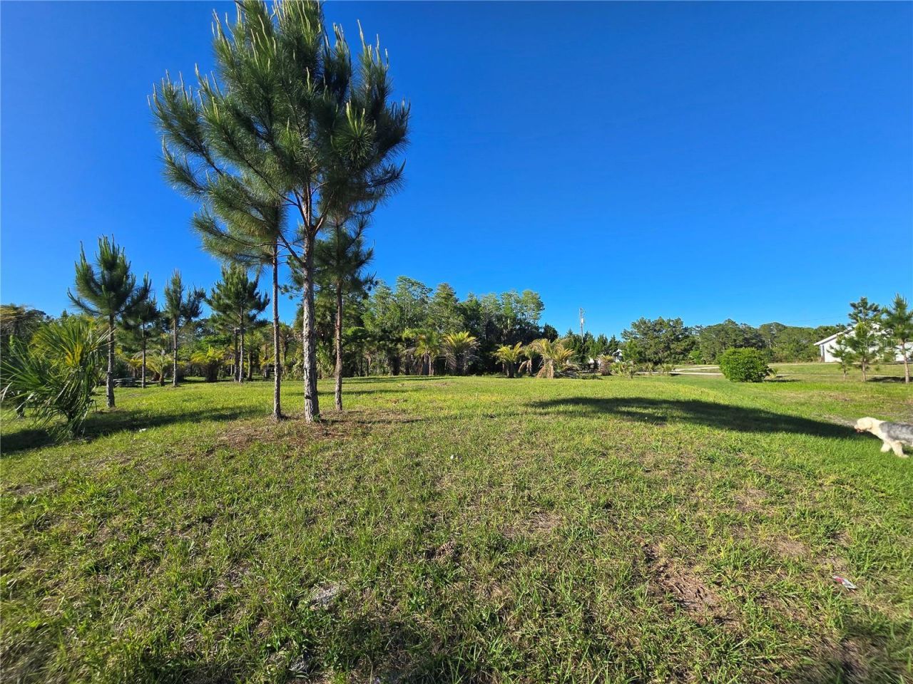 2625 Glencoe Farms Road, New Smyrna Beach, FL 32168 Photo
