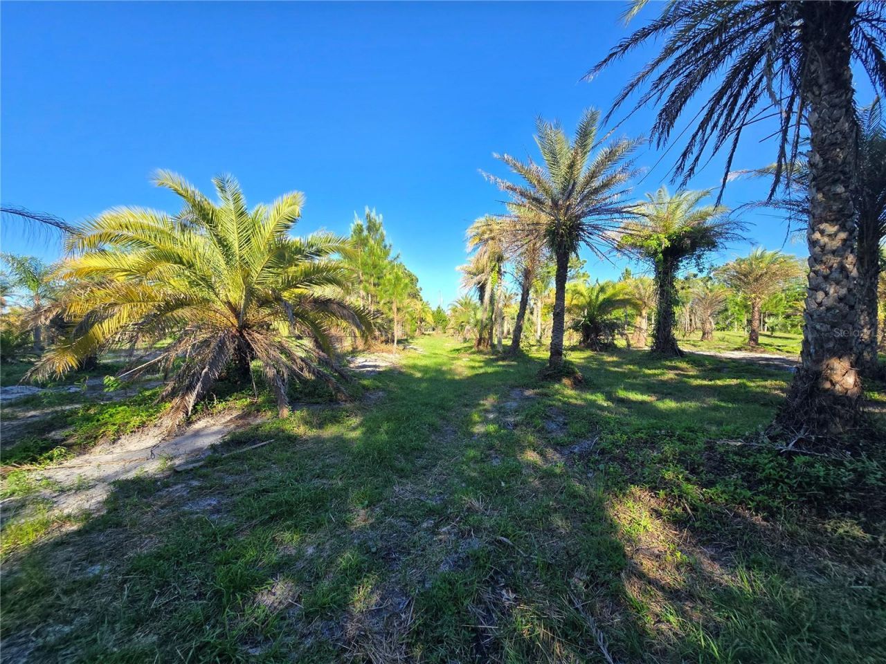 2625 Glencoe Farms Road, New Smyrna Beach, FL 32168 Photo