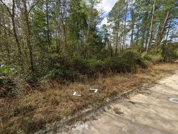 BLOCK 246 LOT 3, INTERLACHEN, FL 32148