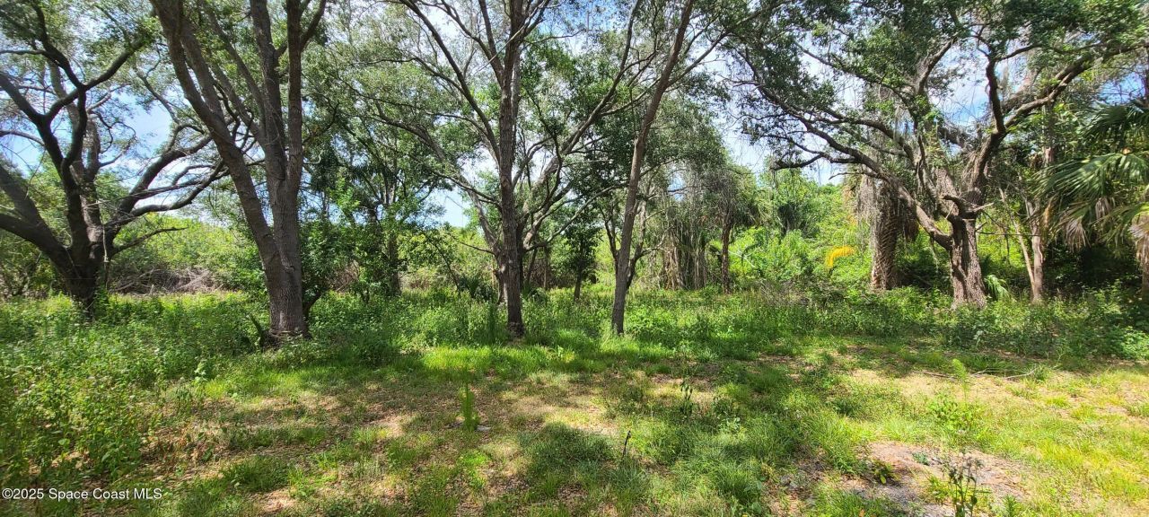 920 Malabar Road , Malabar, FL 32950 Photo