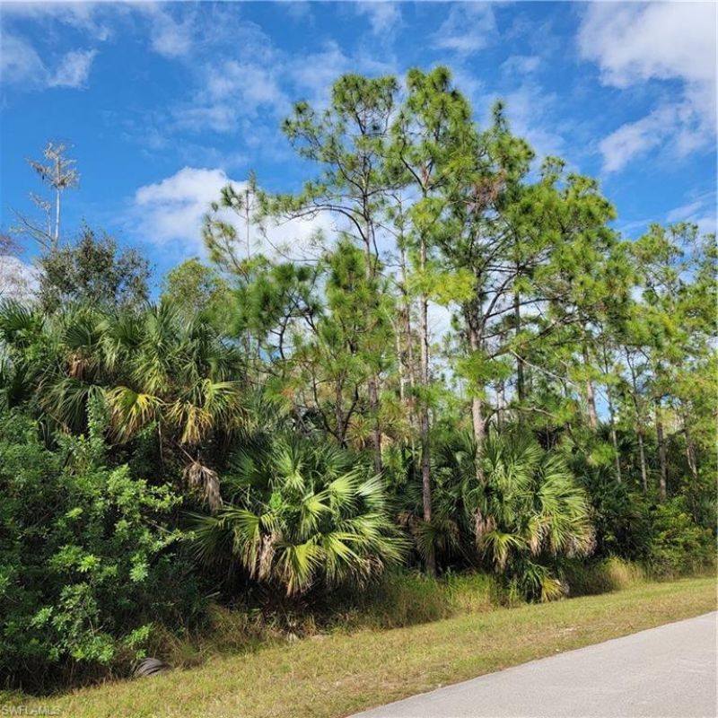 2nd St Ne, Naples, FL 34120 Photo