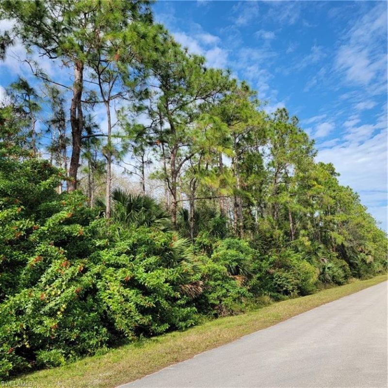 2nd St Ne, Naples, FL 34120 Photo