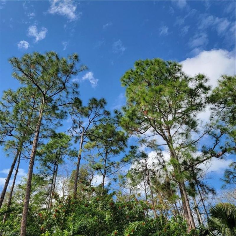 2nd St Ne, Naples, FL 34120 Photo