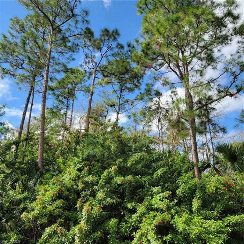 2nd St Ne, Naples, FL 34120 Photo