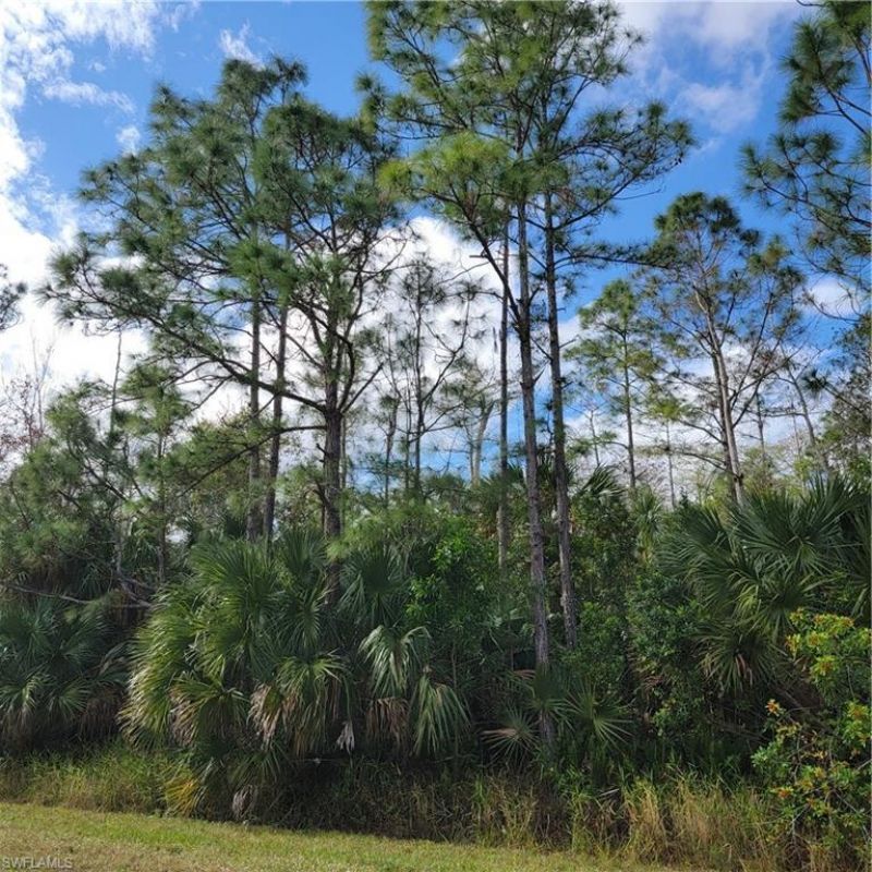 2nd St Ne, Naples, FL 34120 Photo