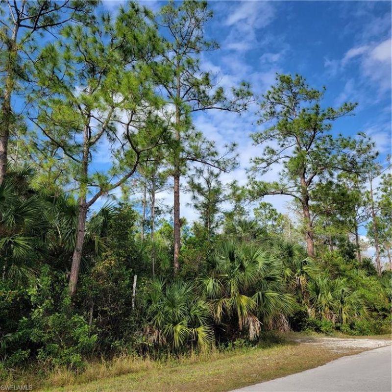 2nd St Ne, Naples, FL 34120 Photo