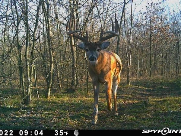 1747 Desvoignes Road, Denison, TX 75021