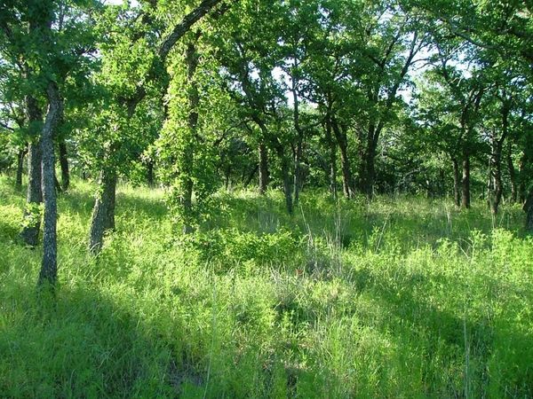 Lot 263 Ridgeline Drive, Chico, TX 76431