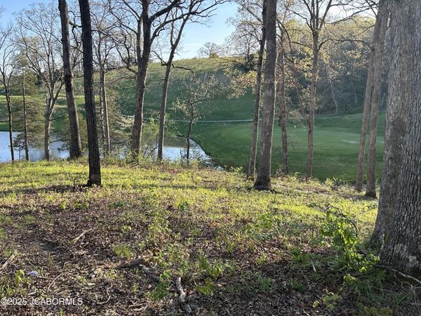LOT 9 BIRDIE HILL ROAD, Holts Summit, MO 65043