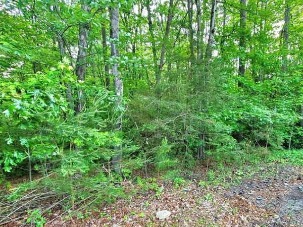 Lot 11 Timberland Drive, MONTROSS, VA 22520