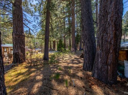 808 Emerald Bay Road, South Lake Tahoe, CA 96150 Photo