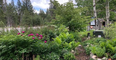 808 Emerald Bay Road, South Lake Tahoe, CA 96150 Photo