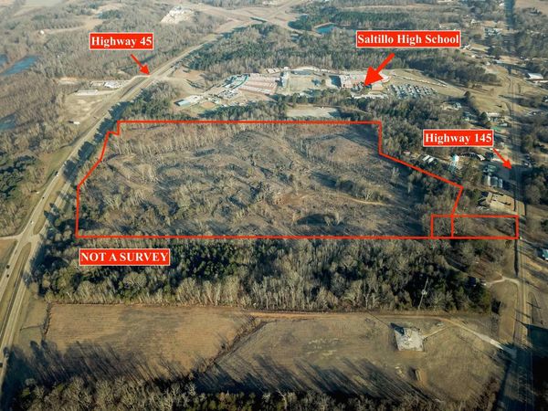 US 45 HWY, Saltillo, MS 38866