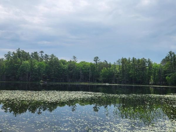 5912 W TWIN LAKE ROAD, Hazelhurst, WI 54531