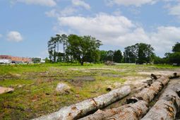 6609 Dick Pond Rd. photo 4