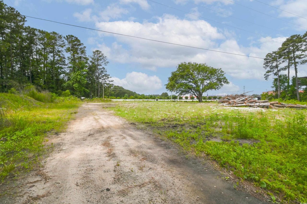 6609 Dick Pond Rd. Photo 5