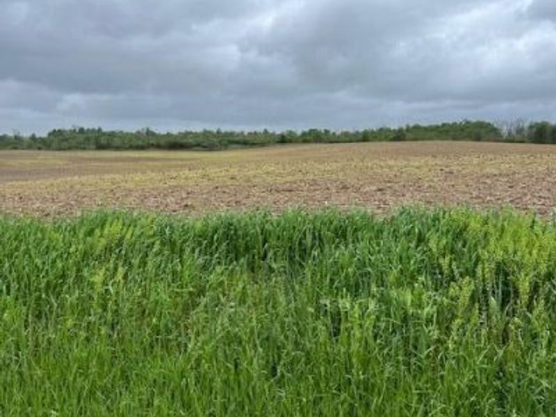 0 Stewart Road NE, Newark, OH 43055 Photo 2