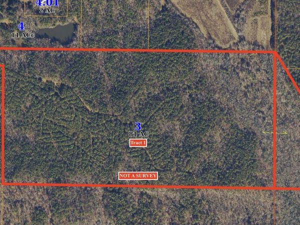 COUNTY 4141 RD, New Site, MS 38859