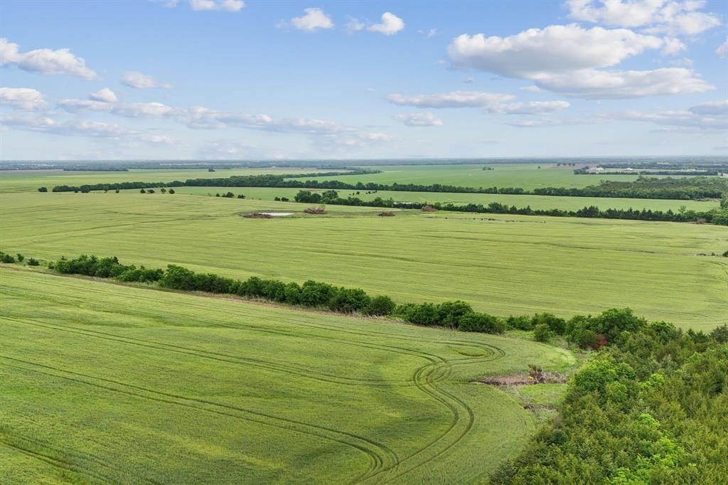 0 County Road 23900, Brookston, TX 75421 Main Photo