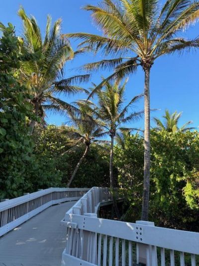 3163 NE 8th Avenue, Boca Raton, FL 33431 Photo