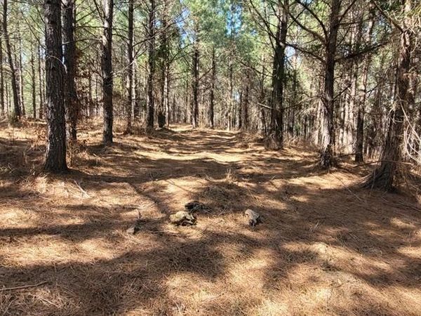 0 Lot 47 Saddleback Dr, Dover, TN 37058