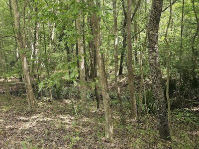 3910 Benjamin Road, Johns Island, SC 29455