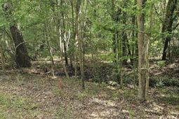 3910 Benjamin Road photo 4