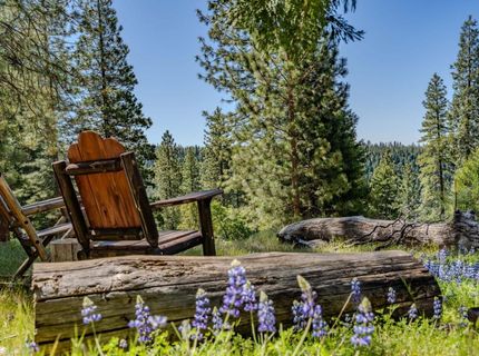 26340 Cedar Ave, Pioneer, CA 95666 Photo