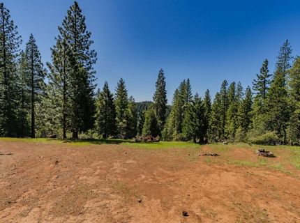 26340 Cedar Ave, Pioneer, CA 95666 Photo