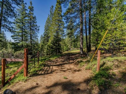 26340 Cedar Ave, Pioneer, CA 95666 Photo