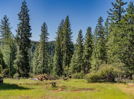 26340 Cedar Ave, Pioneer, CA 95666 Photo