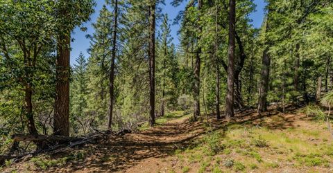 26340 Cedar Ave, Pioneer, CA 95666 Photo