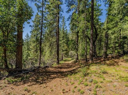 26340 Cedar Ave, Pioneer, CA 95666 Photo