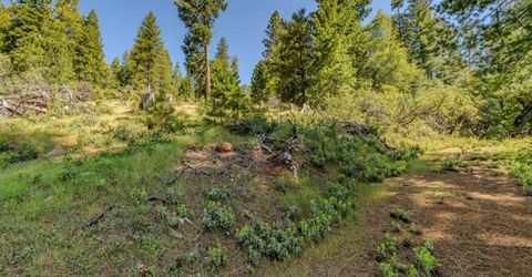 26340 Cedar Ave, Pioneer, CA 95666 Photo