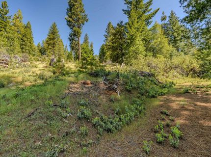 26340 Cedar Ave, Pioneer, CA 95666 Photo