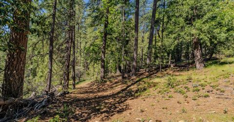 26340 Cedar Ave, Pioneer, CA 95666 Photo