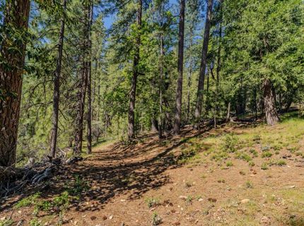 26340 Cedar Ave, Pioneer, CA 95666 Photo