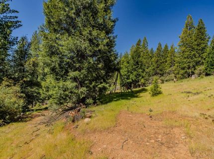 26340 Cedar Ave, Pioneer, CA 95666 Photo