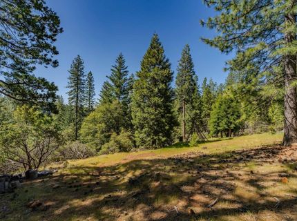 26340 Cedar Ave, Pioneer, CA 95666 Photo