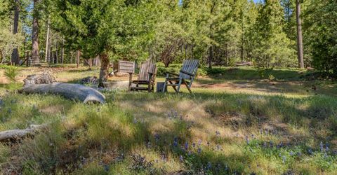 26340 Cedar Ave, Pioneer, CA 95666 Photo