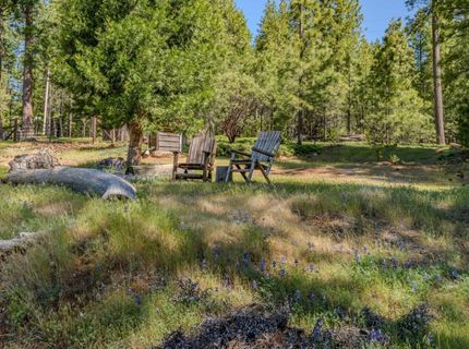 26340 Cedar Ave, Pioneer, CA 95666 Photo