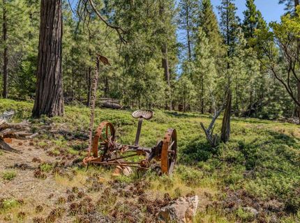 26340 Cedar Ave, Pioneer, CA 95666 Photo