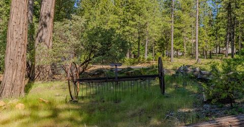 26340 Cedar Ave, Pioneer, CA 95666 Photo