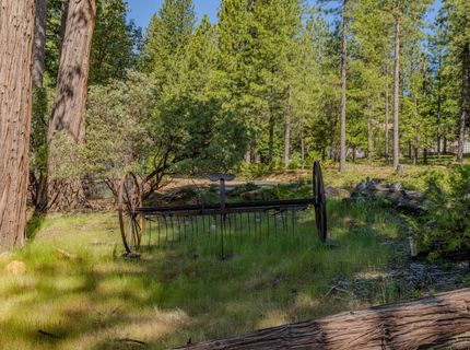 26340 Cedar Ave, Pioneer, CA 95666 Photo