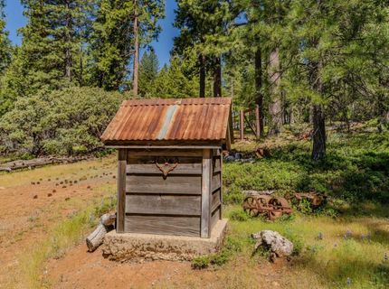 26340 Cedar Ave, Pioneer, CA 95666 Photo