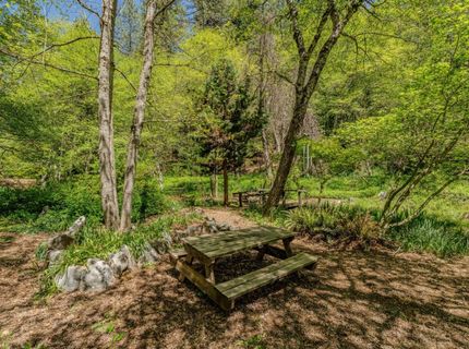 26340 Cedar Ave, Pioneer, CA 95666 Photo