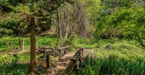 26340 Cedar Ave, Pioneer, CA 95666 Photo