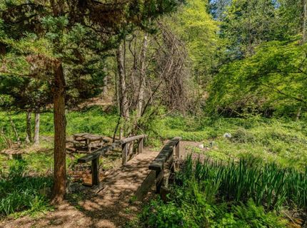 26340 Cedar Ave, Pioneer, CA 95666 Photo