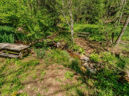 26340 Cedar Ave, Pioneer, CA 95666 Photo