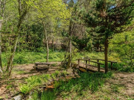 26340 Cedar Ave, Pioneer, CA 95666 Photo